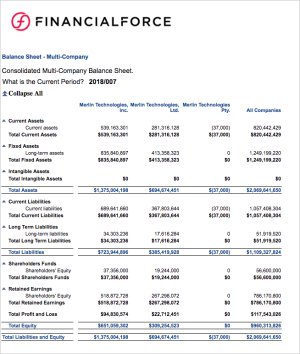 S2S Balance Sheet - Multi-Company